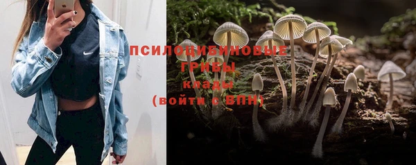 не бодяженный Абинск