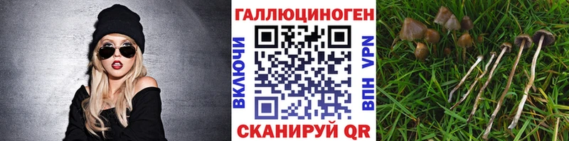 где продают   Аткарск  Галлюциногенные грибы ЛСД 